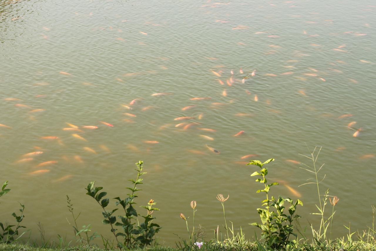 Menam Resort Nakhon Pathom Eksteriør billede